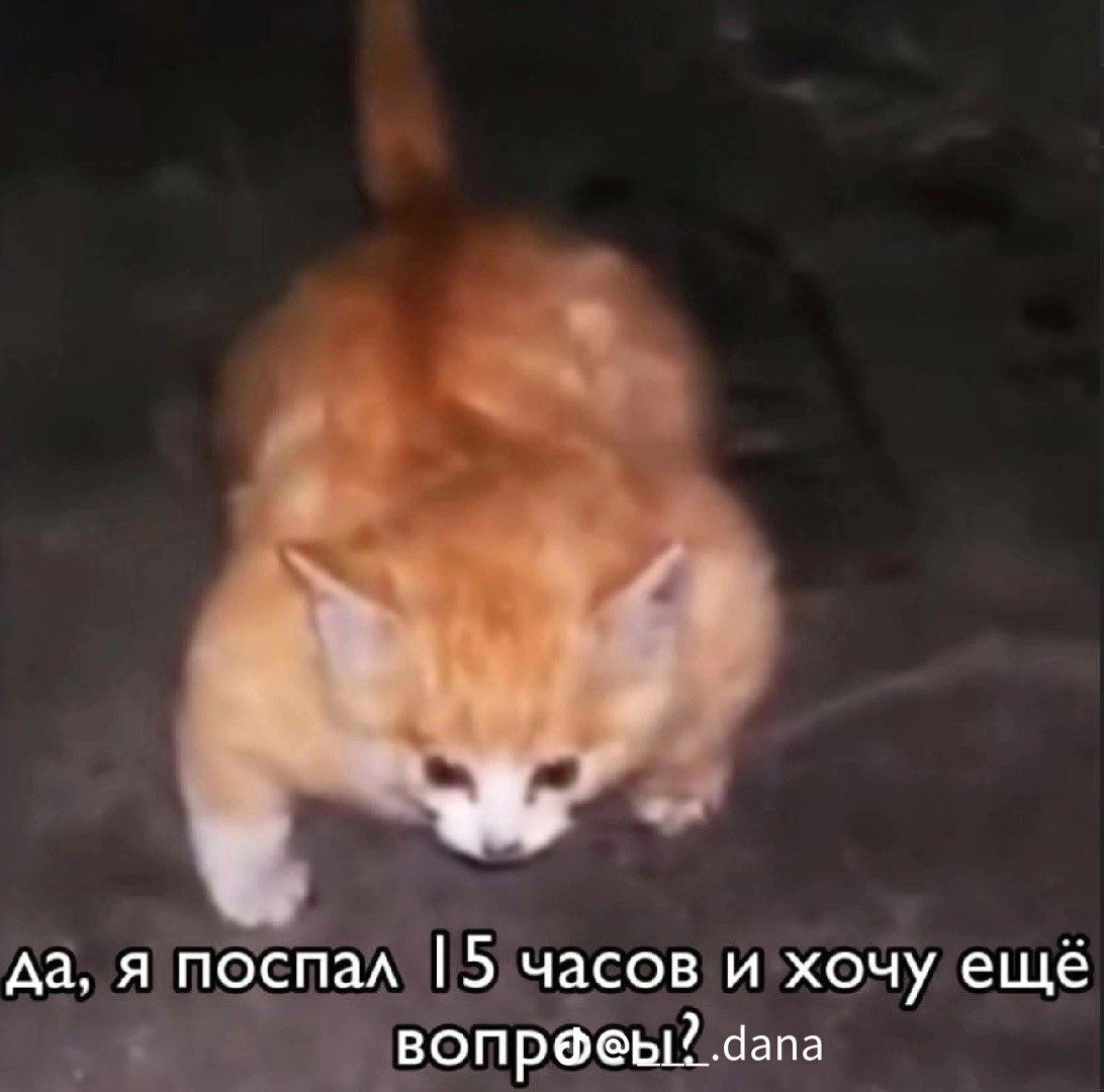 да, я поспал часов и хочу ещё вопр@еы? dana