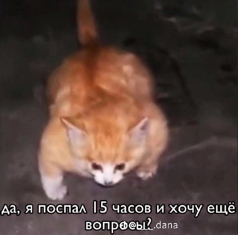 да, я поспал часов и хочу ещё вопр@еы? dana