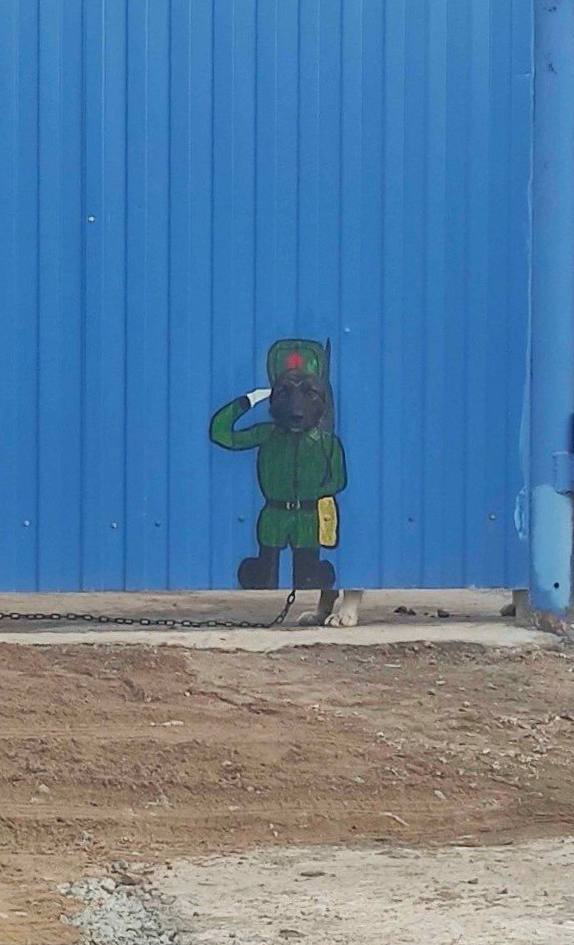 у i 6 а A у Meg ere 5
