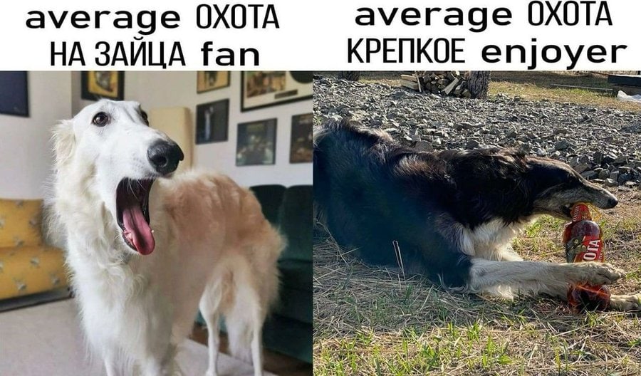 average ОХОТА ауегаде ОХОТА НА ЗАЙЦА fan КРЕПКОЕ епуоуег_ Sat we