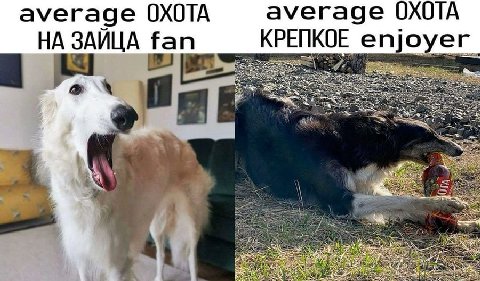 average ОХОТА ауегаде ОХОТА НА ЗАЙЦА fan КРЕПКОЕ епуоуег_ Sat we