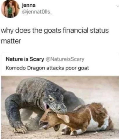 jenna why does the goats financial status matter Nature is Scary @NatureisScary Komodo Dragon attacks poor goat