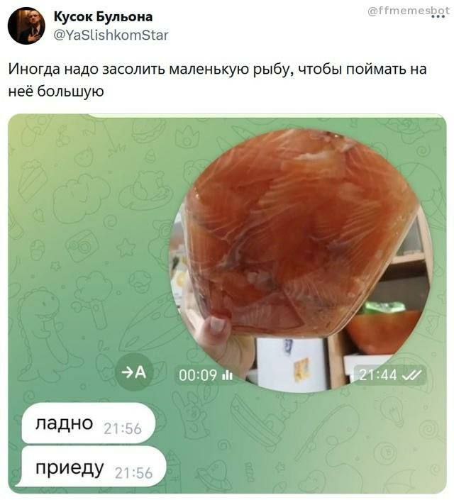 Кусок Бульона @ffmemesbot Иногда надо засолить маленькую рыбу, чтобы поймать неё большую >A 2] ладно 21:55 приеду