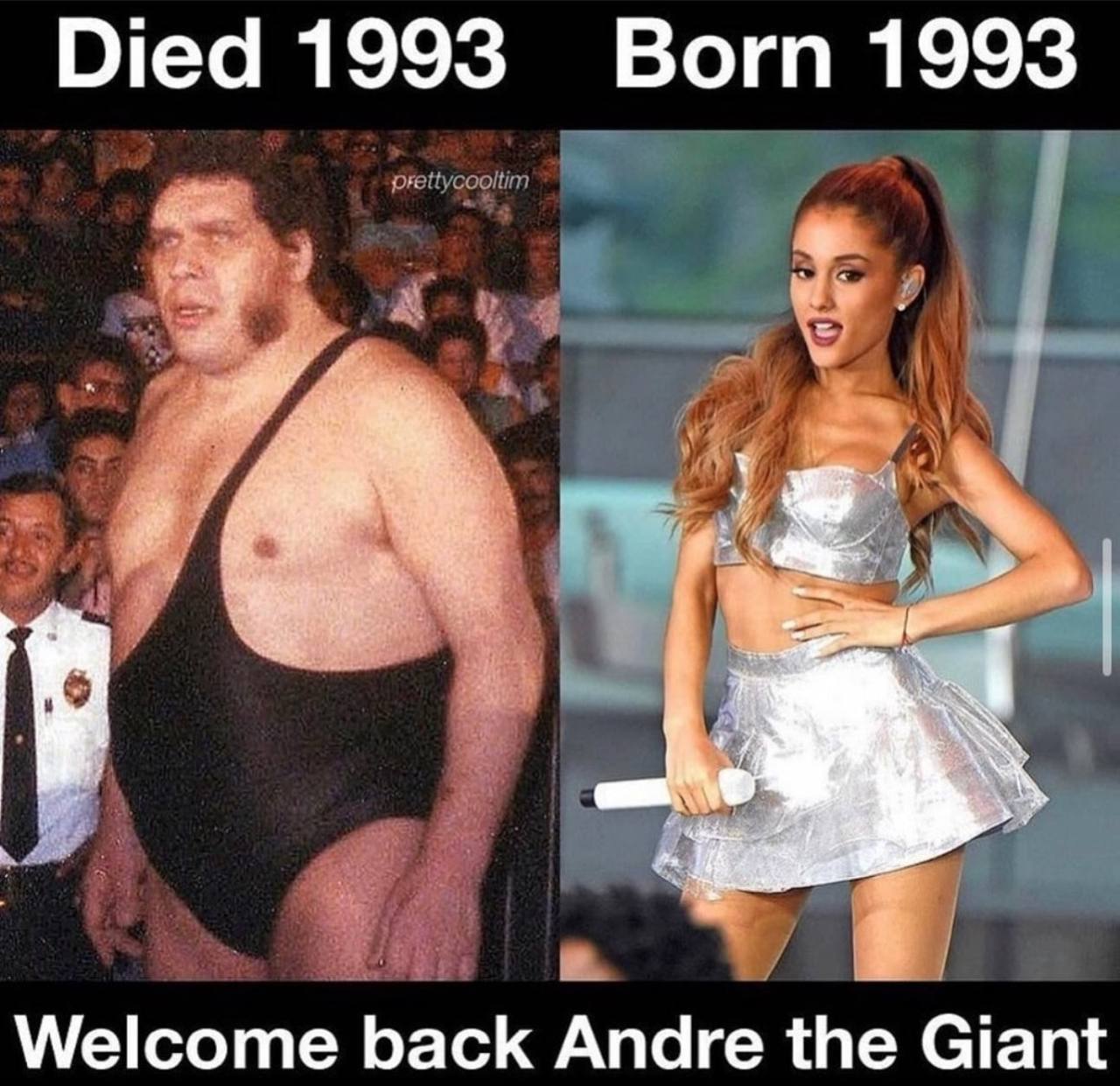 Died 1993 Born 1993 Welcome back Andre the Giant