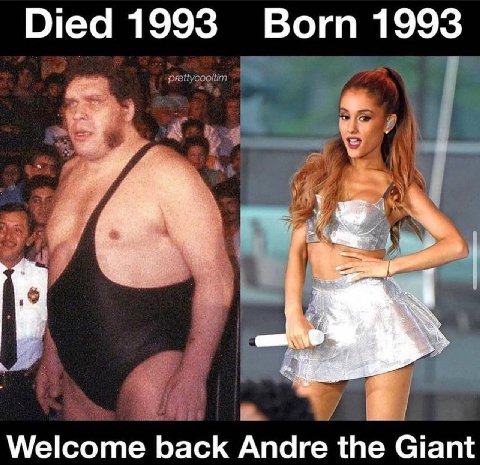 Died 1993 Born 1993 Welcome back Andre the Giant