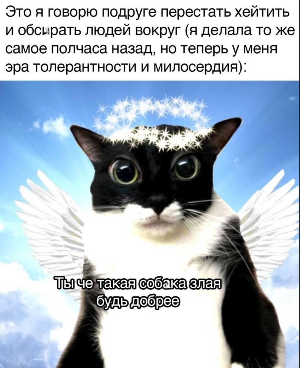 Это я говорю подруге перестать хейтить и обсирать людей вокруг (я делала то же самое полчаса назад, но теперь у меня эра толерантности и милосердия): такая{собака ‘будыдобрее