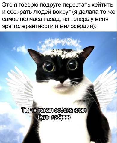 Это я говорю подруге перестать хейтить и обсирать людей вокруг (я делала то же самое полчаса назад, но теперь у меня эра толерантности и милосердия): такая{собака ‘будыдобрее