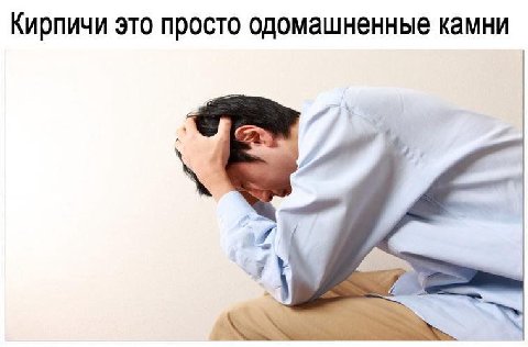 Кирпичи это просто одомашненные камни