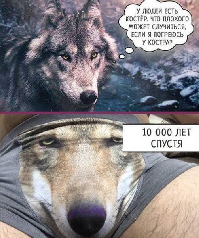 a У ЛЮДЕЙ ЕСТЬ TEP. ЧТО ПЛОХОГО МОЖЕТ СЛУЧИТЬСЯ, ЕСЛИ Я ПОГРЕЮСЬ У КОСТРА? 10 000 ЛЕТ СПУСТЯ