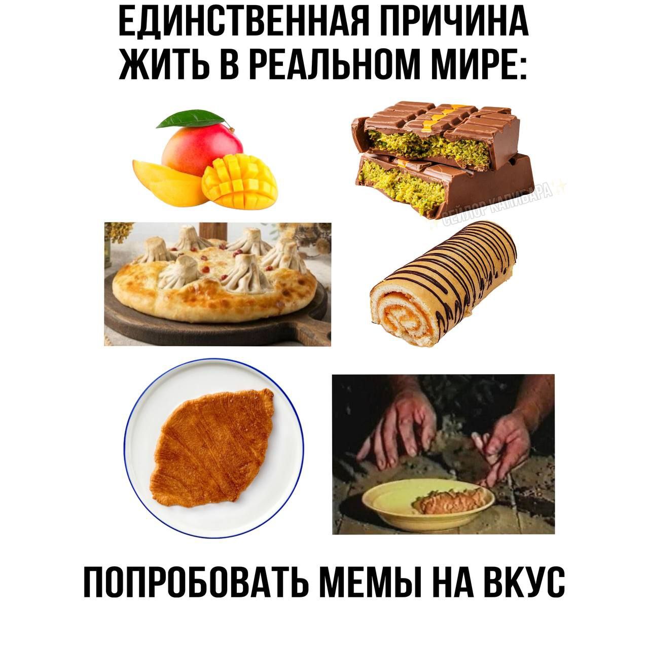 ЕДИНСТВЕННАЯ ПРИЧИНА ЖИТЬ В РЕАЛЬНОМ МИРЕ: ПОПРОБОВАТЬ МЕМЫ НА ВКУС
