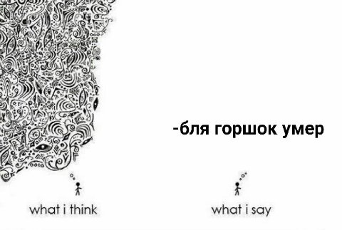 i А -бля горшок умер what i think what i say