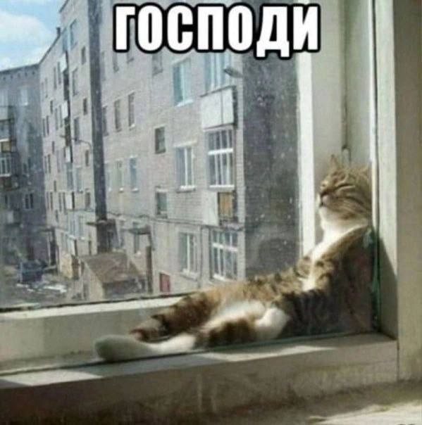 ГОСПОДИ