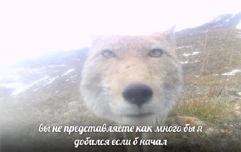 He представляете как много быя добился если 6 начал