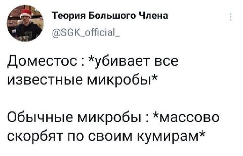 Теория Большого Члена @SGk_official_ Доместос *убивает все известные микробы* Обычные микробы *массово скорбят по своим кумирам*