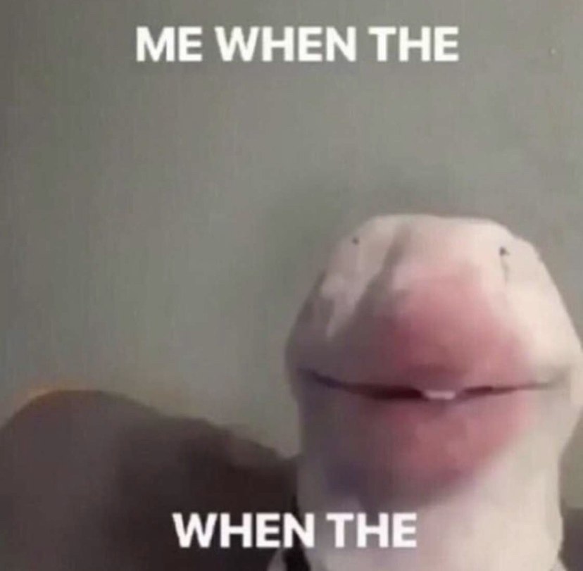 МЕМ/НЕМ ТНЕ WHEN THE