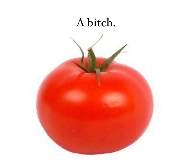 A bitch.