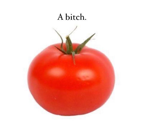 A bitch.