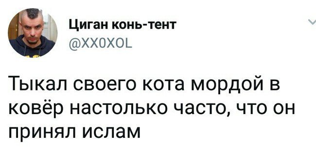 Циган конь-тент Тыкал своего кота мордой в ковёр настолько часто, что он принял ислам