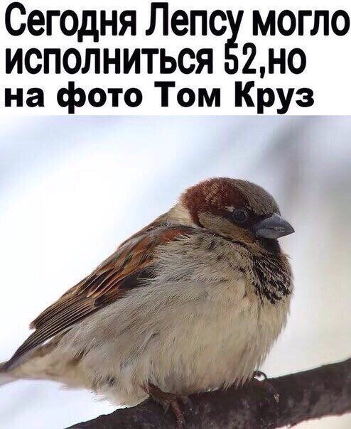 Сегодня Лепсу могло ИСПОЛНИТЬСЯ 52,НО на фото Том Круз