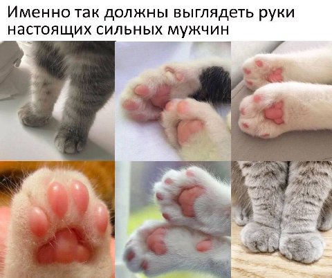 Именно так должны выглядеть руки настоящих сильных мужчин