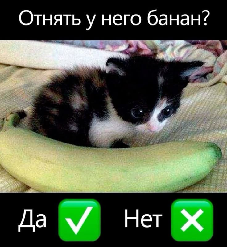 Отнять у него банан? 8 Да Нет Ж