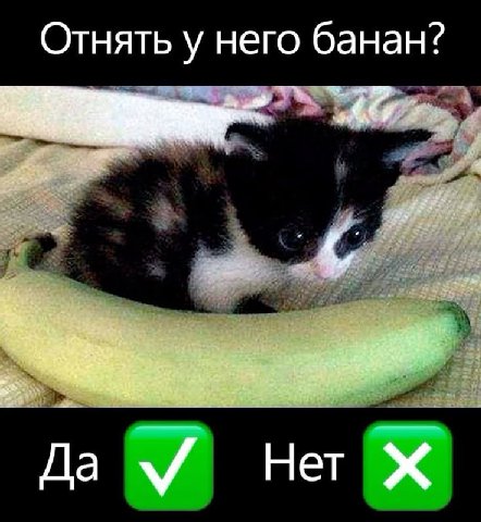 Отнять у него банан? 8 Да Нет Ж