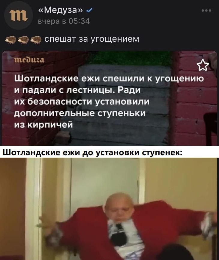 «Медуза» вчера в 05:34 спешат за угощением meduza Шотландские ежи спешили к угощению и падали с лестницы. Ради безопасности установили дополнительные ступеньки из кирпичей Шотландские ежи до установки