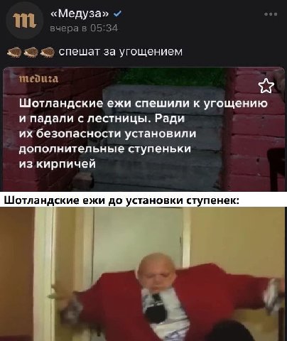 «Медуза» вчера в 05:34 спешат за угощением meduza Шотландские ежи спешили к угощению и падали с лестницы. Ради безопасности установили дополнительные ступеньки из кирпичей Шотландские ежи до установки
