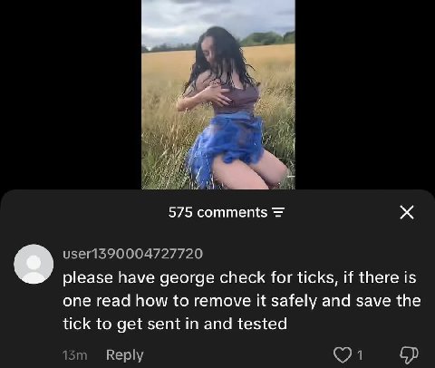 575 comments user1390004727720 please have george check for ticks, if there is one read how to remove it safely and save the tick to get sent in and tested Reply
