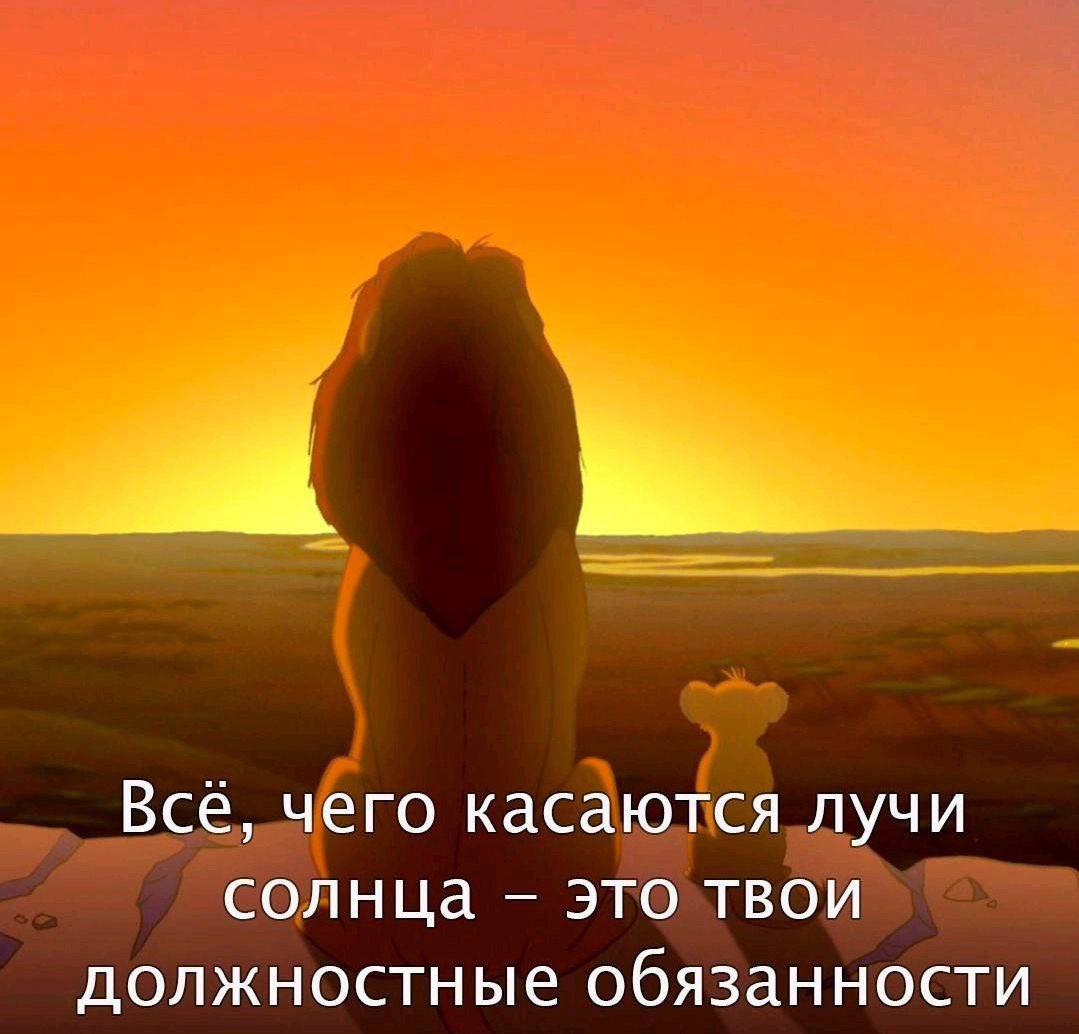 Всё, чего касаются лучи солнца это твои должностные обязанности