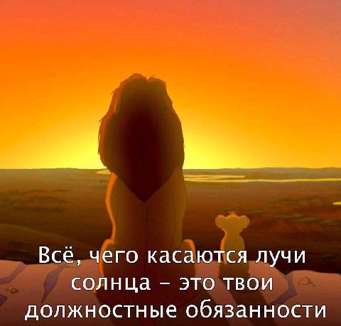 Всё, чего касаются лучи солнца это твои должностные обязанности