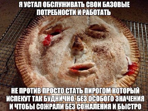 Я УСТАЛ ОБСЛУЖИВАТЬ СВОИ БАЗОВЫЕ ПОТРЕБНОСТИ И РАБОТАТЬ НЕПРОТИВ ПРОСТО СТАТЬ ИСПЕКУТ ТАК БУДНИЧНО, БЕЗ ОСОБОГО ЗНАЧЕНИЯ ИЧТОБЫ СОЖРАЛИ БЕЗ СОЖАЛЕНИЯ И БЫСТРО