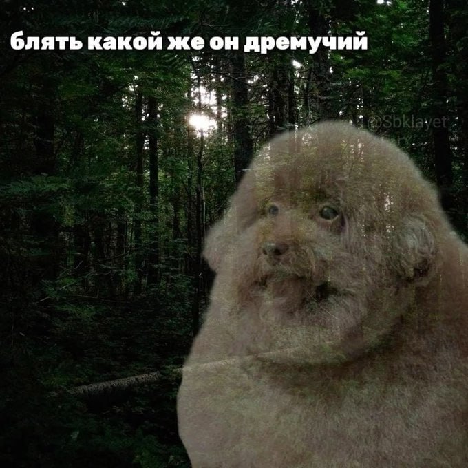 мучий блять какой же он дре
