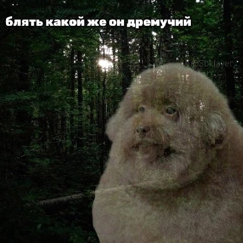 мучий блять какой же он дре