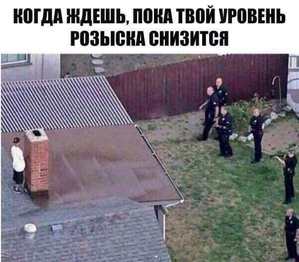 КОГДА ЖДЕШЬ, ПОКА ТВОЙ УРОВЕНЬ РОЗЫСКА СНИЗИТСЯ