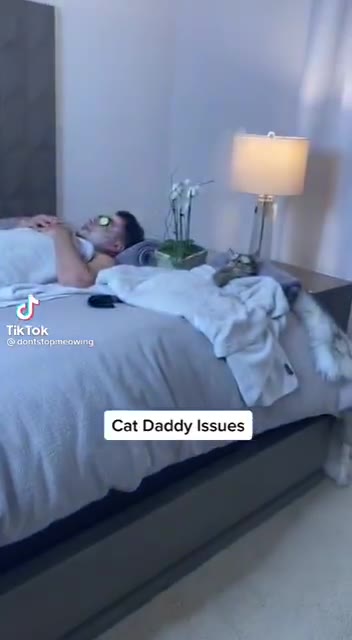 |) cat Daddy Issues