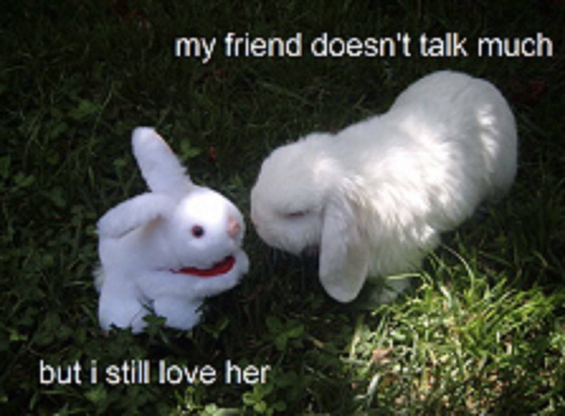 my friend doesn't talk much but i still love her