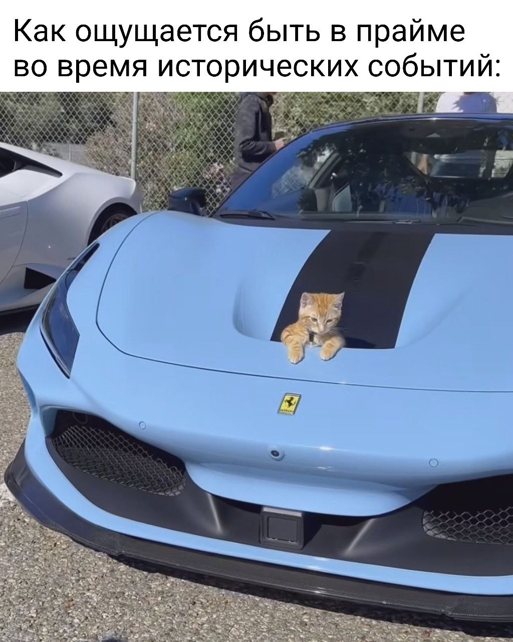 Как ощущается быть в прайме во время исторических событий