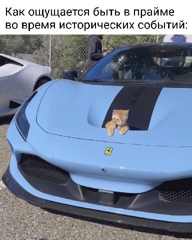 Как ощущается быть в прайме во время исторических событий