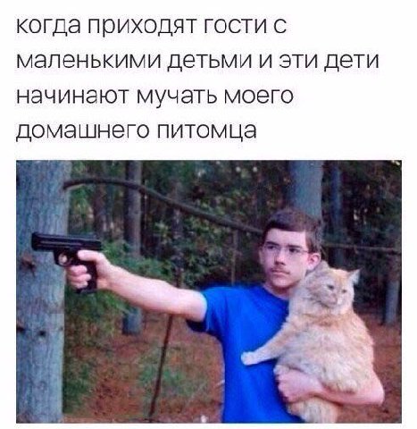 когда приходят гости с маленькими детьми и эти дети начинают мучать моего домашнего питомца