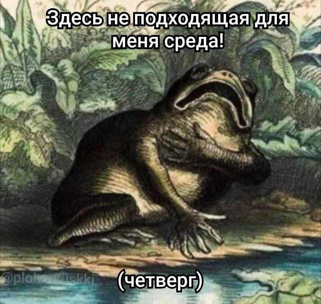 a Щая меня среда! (четверг).