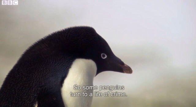So) turn to