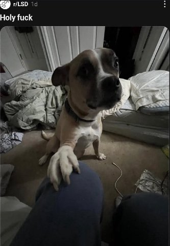 r/LSD fuck