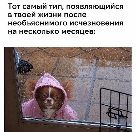 Тот самый тип, появляющийся в твоей жизни после необъяснимого исчезновения на несколько месяцев: