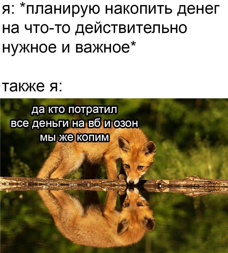 я: *планирую накопить денег на что-то действительно нужное и важное* также я: да кто потратил все деньги 3