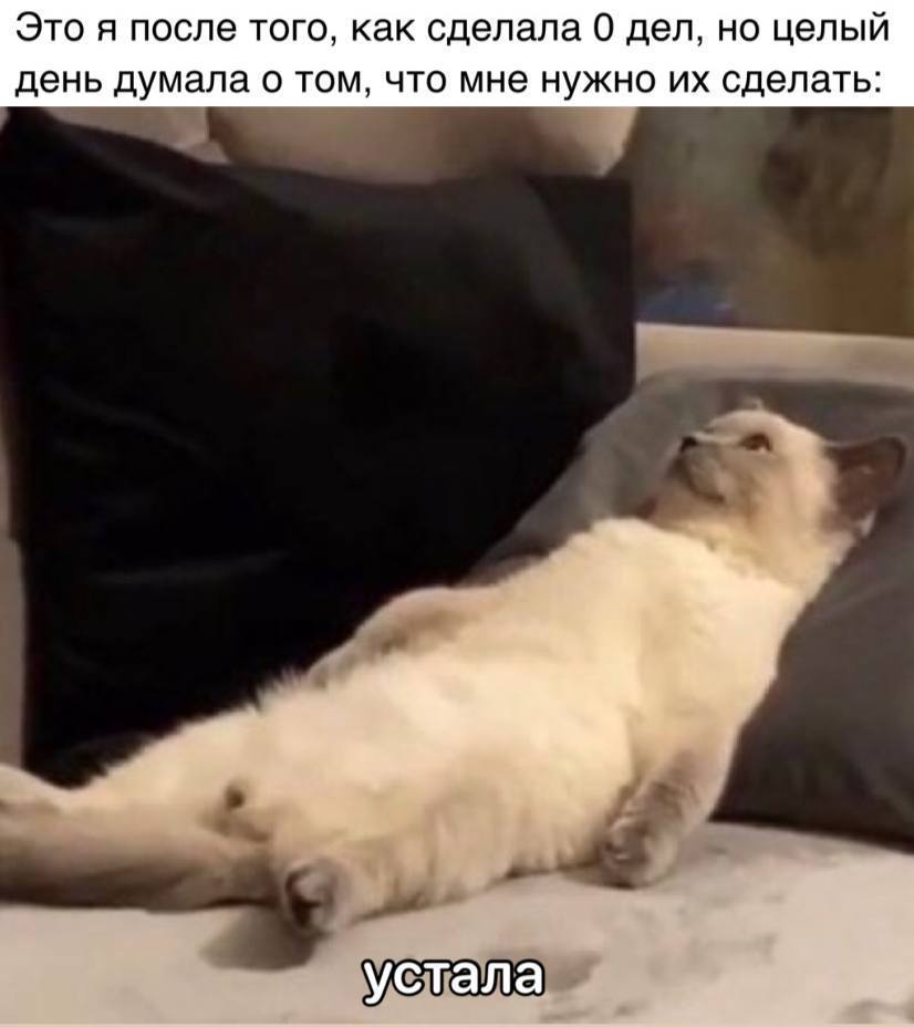Это я после того, как сделала 0 дел, но целый день думала о том, что мне нужно сделать: устала,