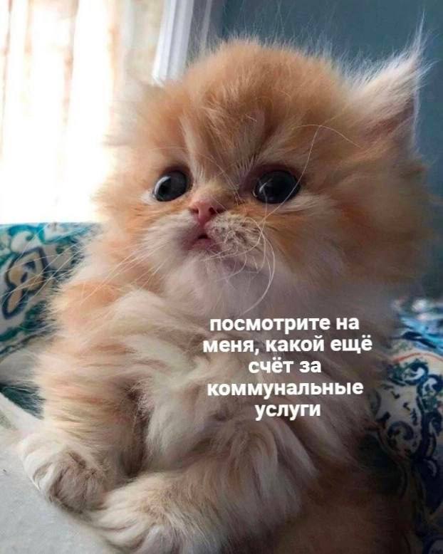 посмотрите на меня, какой еще счёт за коммунальные услуги