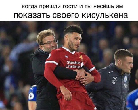 когда пришли гости и ты несёшь показать своего кисулькена