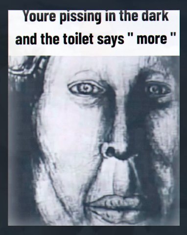 Youre pissing in the dar and the toilet says more 4