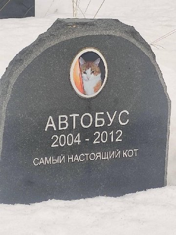 АВТОБУС 2004 2012 САМЫЙ НАСТОЯЩИЙ КОТ